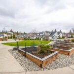 Community garden beds for your planting enjoyment.