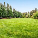 Whether you are looking for a simple yard, space for farming, or even space to add amenities such as a sport court or pool, the endless amount of space provides options of multiple uses.