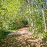 Multiple trails throughout your own private park. Many trails expansive enough for equestrian use.