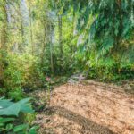 One of many trails leads you to the edge of Bear Creek. You will be taken back by the fresh scent of nature and the salmon spawning in the stream.